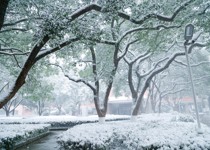 雪中校园