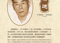 杨迪