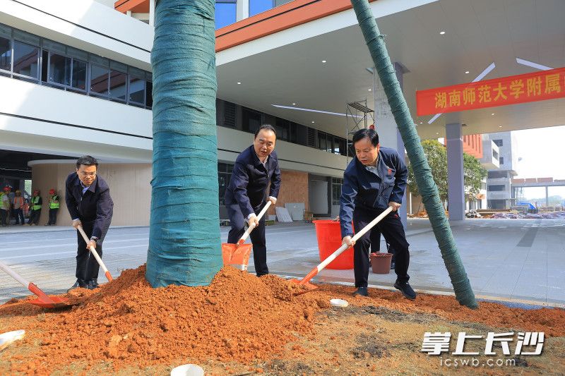 共同为大泽湖校区植下一片新绿。 均为长沙晚报通讯员梁文婷摄 共同为大泽湖校区植下一片新绿。 均为长沙晚报通讯员梁文婷摄
