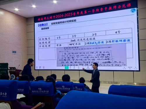 贺俊老师执教骨干教师示范课